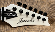 Jacobs VAI Style Electric Guitar Made in USA/  COA /. VIDEO/ Financing Avail.