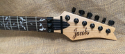 Jacobs VAI Electric Guitar Made in USA/ Signed VAI/ COA /Video/